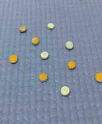 VIP Acupressure Health Care Magnet Sujok Set of 10