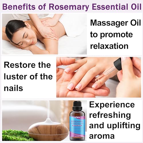 100% Pure Rosemary Hair Growth Oil with Roller