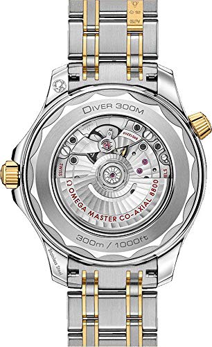 Omega Seamaster Sedna Blue Dial Diver Watch