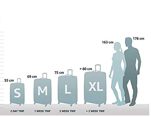 American Tourister Silver Unisex Adult Hand Luggage, Small