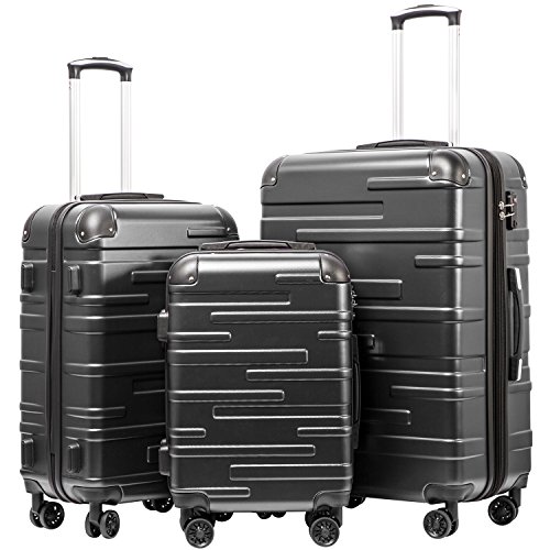 Coolife 3-Piece TSA Lock Spinner Suitcase Set (Gray)
