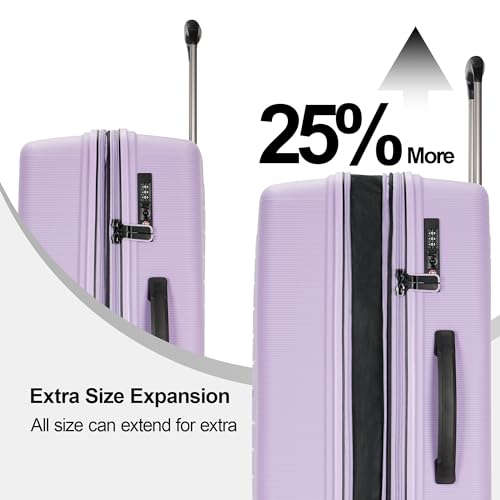 VIP Ginza Travel Suitcase Set with TSA Lock