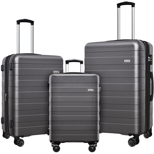 KEYTANG Zebra Print Expandable Luggage Set, Gray