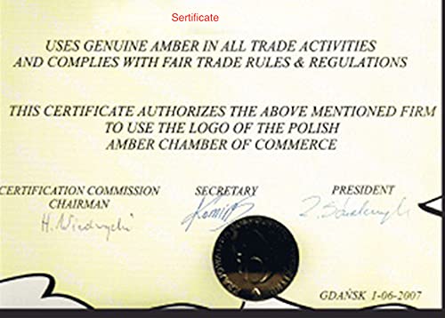 Cherry Amber Set - Earrings, Pendant, Necklace (18")