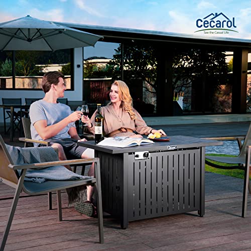 Cecarol 43in Glass Shield Propane Gas Fire Pit