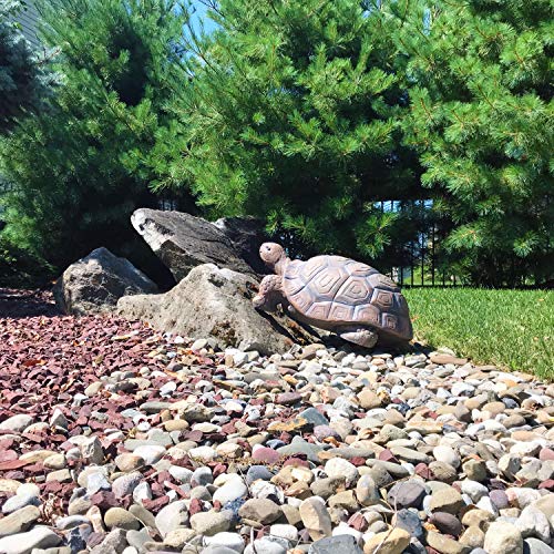 Sunnydaze Tanya Tortoise Poly-Concrete Garden Statue
