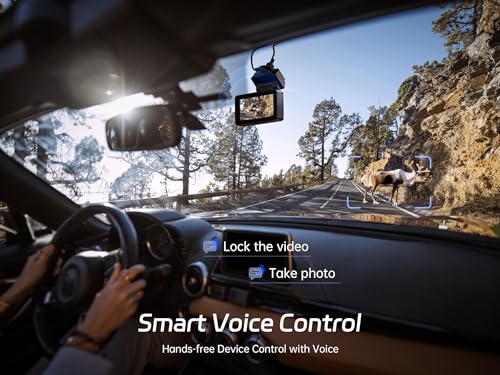 Pelsee 4K+1080P Dual Dash Camera BundleVIP Smart Shopper
