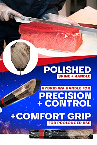 Dalstrong Helios Chef Slicing Knife - 17" Single-Bevel