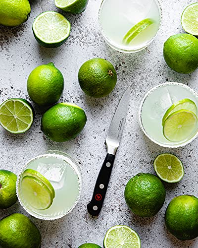 WÜSTHOF Classic 15-Piece Knife Block Set - VIP Smart Shopper