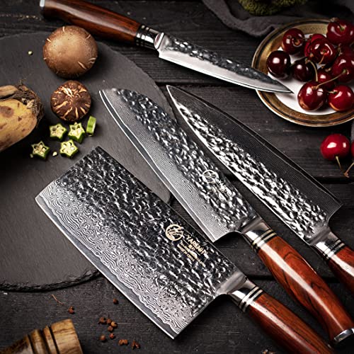 YARENH 5-Piece Damascus Stainless Steel Knife Set, Professional Chef