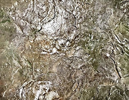 Authentic Seamless Concrete Stamp Monster Slate Set (6pc)