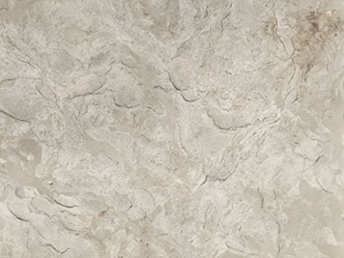 Authentic Seamless Concrete Stamp Monster Slate Set (6pc)