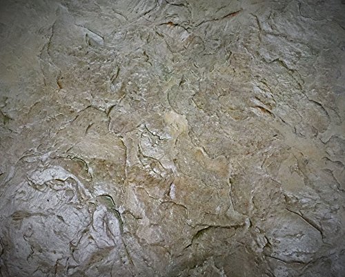 Authentic Seamless Concrete Stamp Monster Slate Set (6pc)