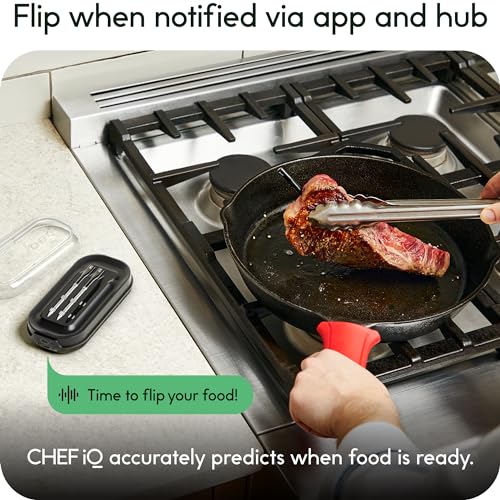 Wireless BBQ Grill Thermometer with Unlimited Range Bluetooth