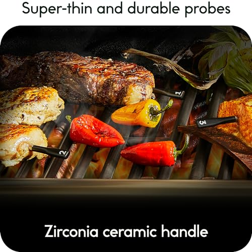 Wireless BBQ Grill Thermometer with Unlimited Range Bluetooth