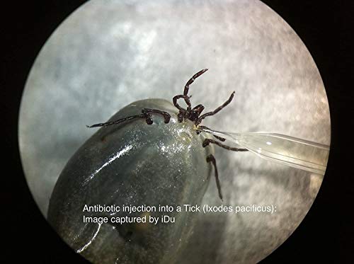 iPhone Xs Max LabCam Microscope Adapter VIP Shop