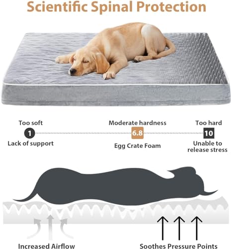 Giant Orthopedic Dog Bed with Washable Cover & Anti-Slip