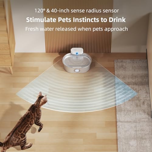Premium Stainless Steel Cat Water Fountain 67oz