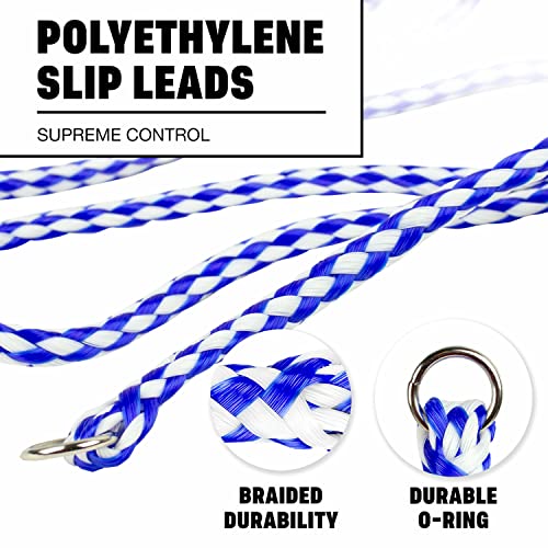 Braided Poly Slip Lead Dog Leash Bundle