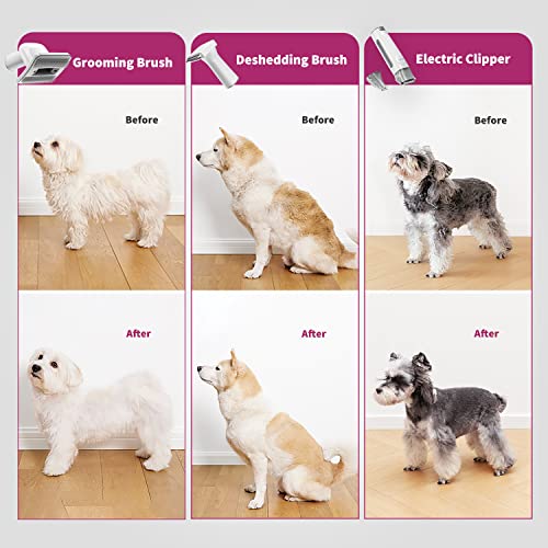 PETKIT Professional Pet Grooming Kit with Vacuum Cleaner