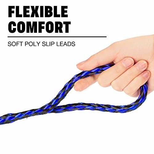 Braided Poly Slip Lead Dog Leash Bundle