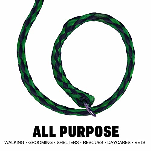 Braided Poly Slip Lead Dog Leash Bundle