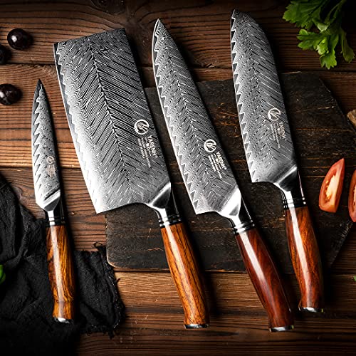 YARENH 5-Piece Damascus Stainless Steel Knife Set VIP