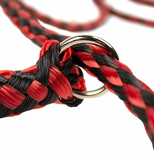 Braided Poly Slip Lead Dog Leash Bundle