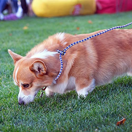 Braided Poly Slip Lead Dog Leash Bundle