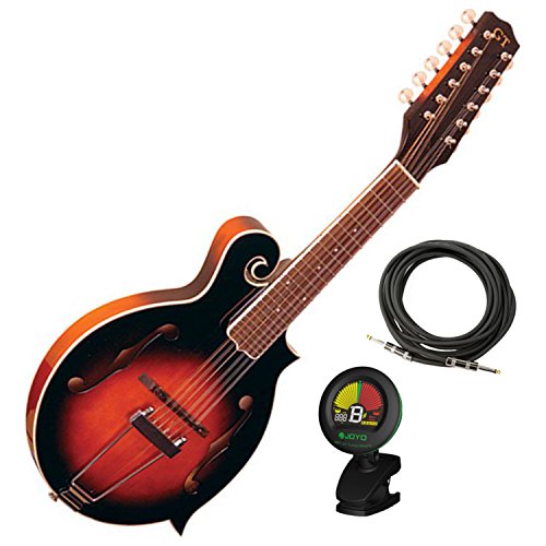 Goldtone F-12 12-String Manditar Mando-Guitar Set