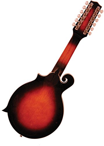 Goldtone F-12 12-String Manditar Mando-Guitar Set