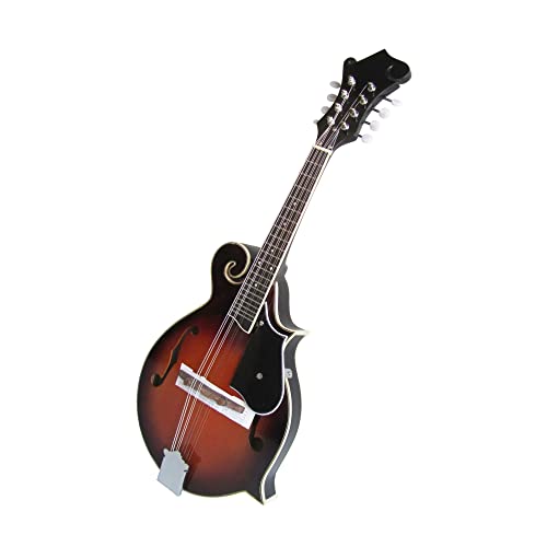 8-String Mandolin with Leather Case for Beginners