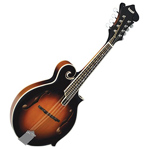 Morgan Monroe 5-String Mandolin, Sunburst, A Style VIP
