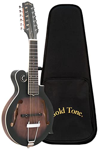Gold Tone 12-String Mandolin - Natural Finish