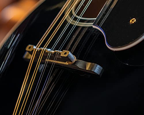 Washburn M1SD Americana - VIP Smart Shopper