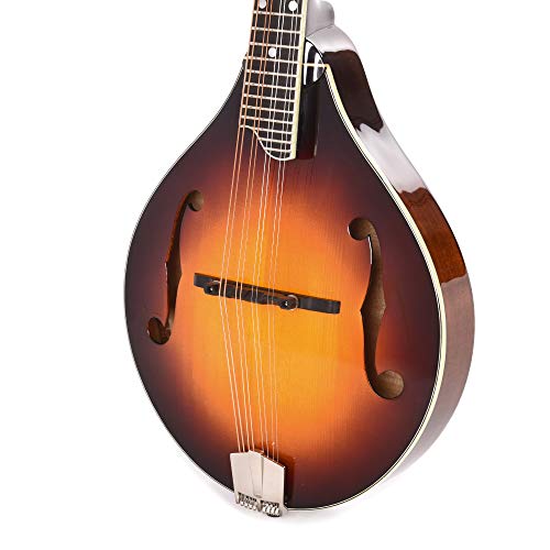 Classic Sunburst A-Style F-Holes Spruce/Maple Violin