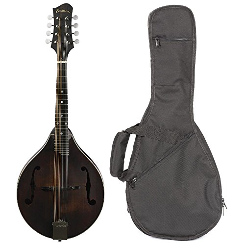 Eastman MD305 A Style Mandolin in Solid Wood