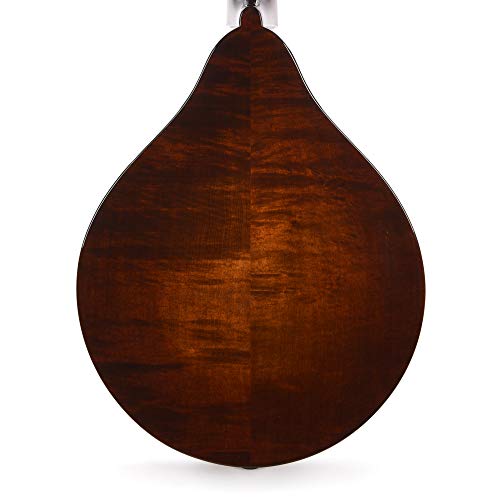 Classic Sunburst A-Style F-Holes Spruce/Maple Violin