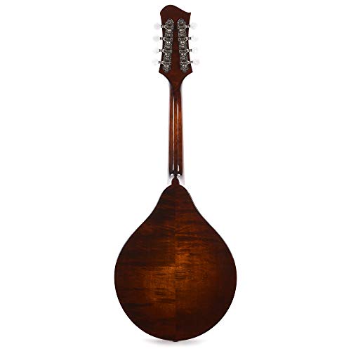 Classic Sunburst A-Style F-Holes Spruce/Maple Violin