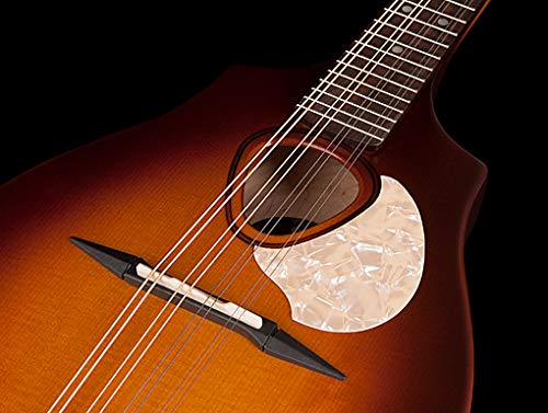 Sunburst EQ Acoustic-Electric Seagull S8 Mandolin, Right Handed