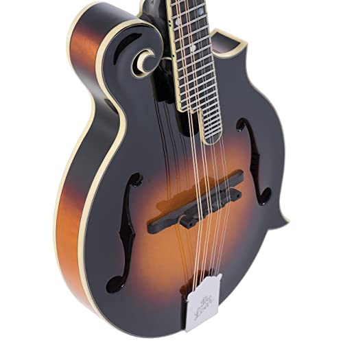 The Loar Professional F-Style Mandolin - Sunburst VIP