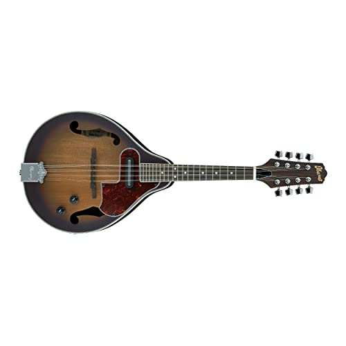 Ibanez 8-String Mandolin Acoustic Guitar in Vintage Sunburst