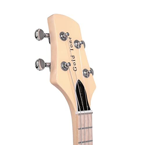 VIP Smart Shopper: Gold Tone GME-4 Mandolin