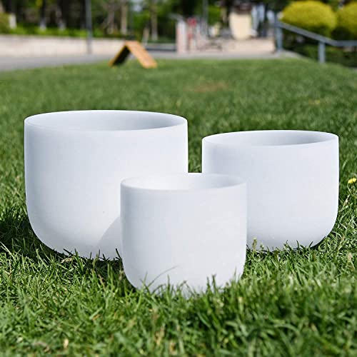 Set of 3 Forested Quartz Crystal Singing Bowls