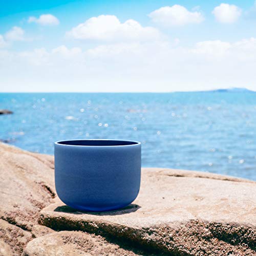 Indigo 432 Hz Crystal Singing Bowl 12 inch