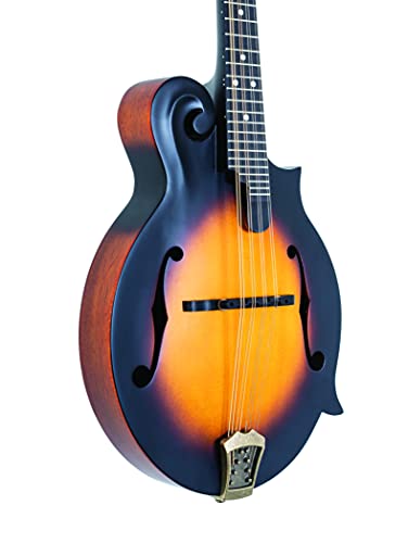 Washburn Vintage Sunburst 8-String Mandolin (M108SWK-D)