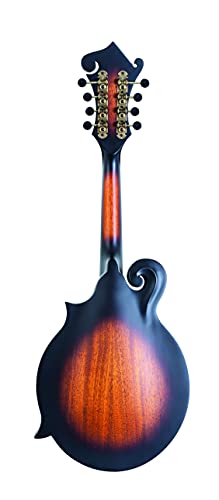 Washburn Vintage Sunburst 8-String Mandolin (M108SWK-D)