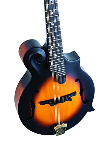 Washburn Vintage Sunburst 8-String Mandolin (M108SWK-D)