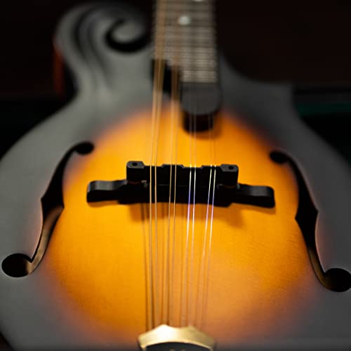 Washburn Vintage Sunburst 8-String Mandolin (M108SWK-D)