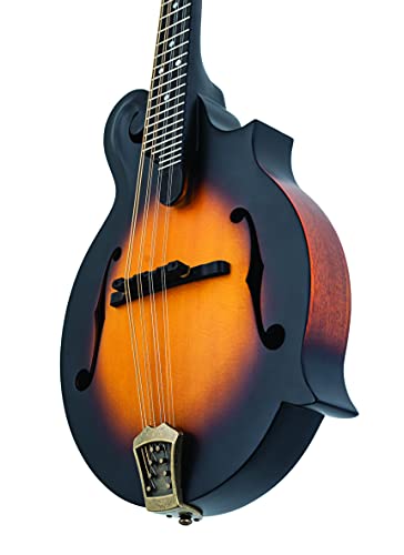 Washburn Vintage Sunburst 8-String Mandolin (M108SWK-D)